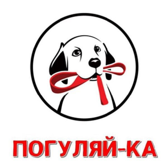 Региональная зоозащитная акция «Погуляй-ка».