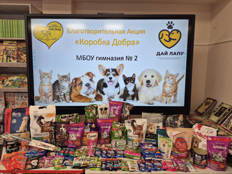 Благотворительная акция «Коробка добра».